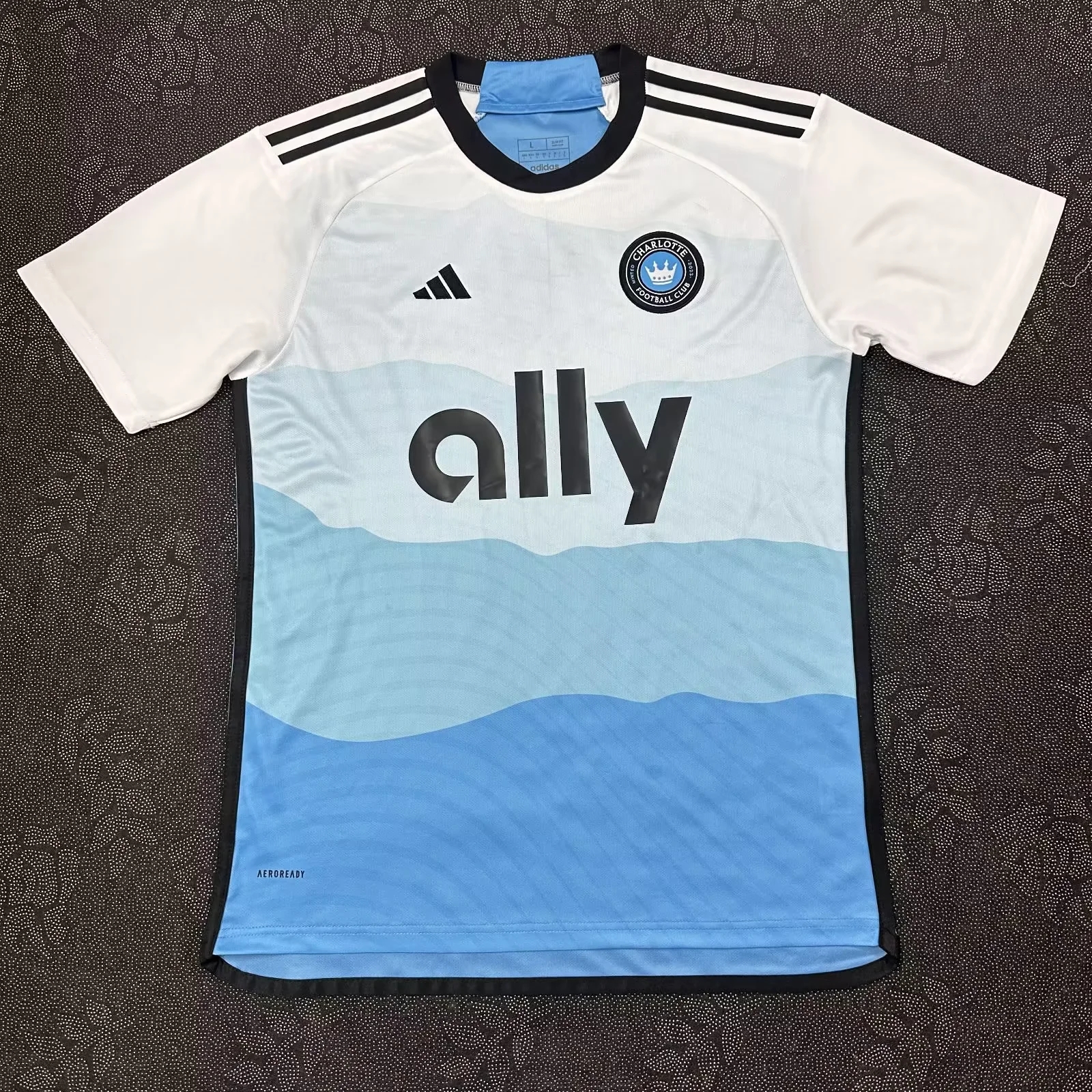 2024-2025 Charlotte Domicile Maillot