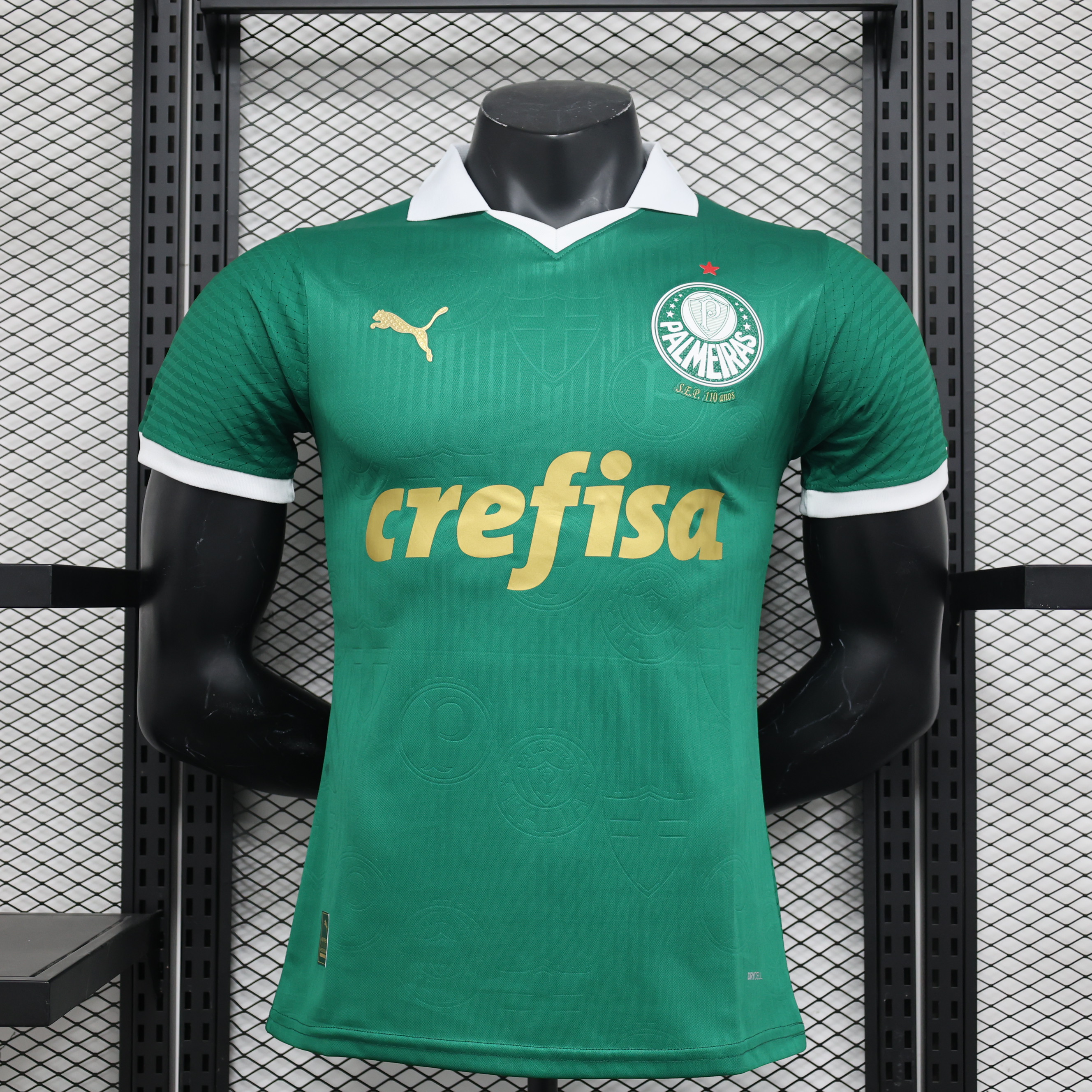 2024/2025 Palmeiras Domicile Authentique Maillot