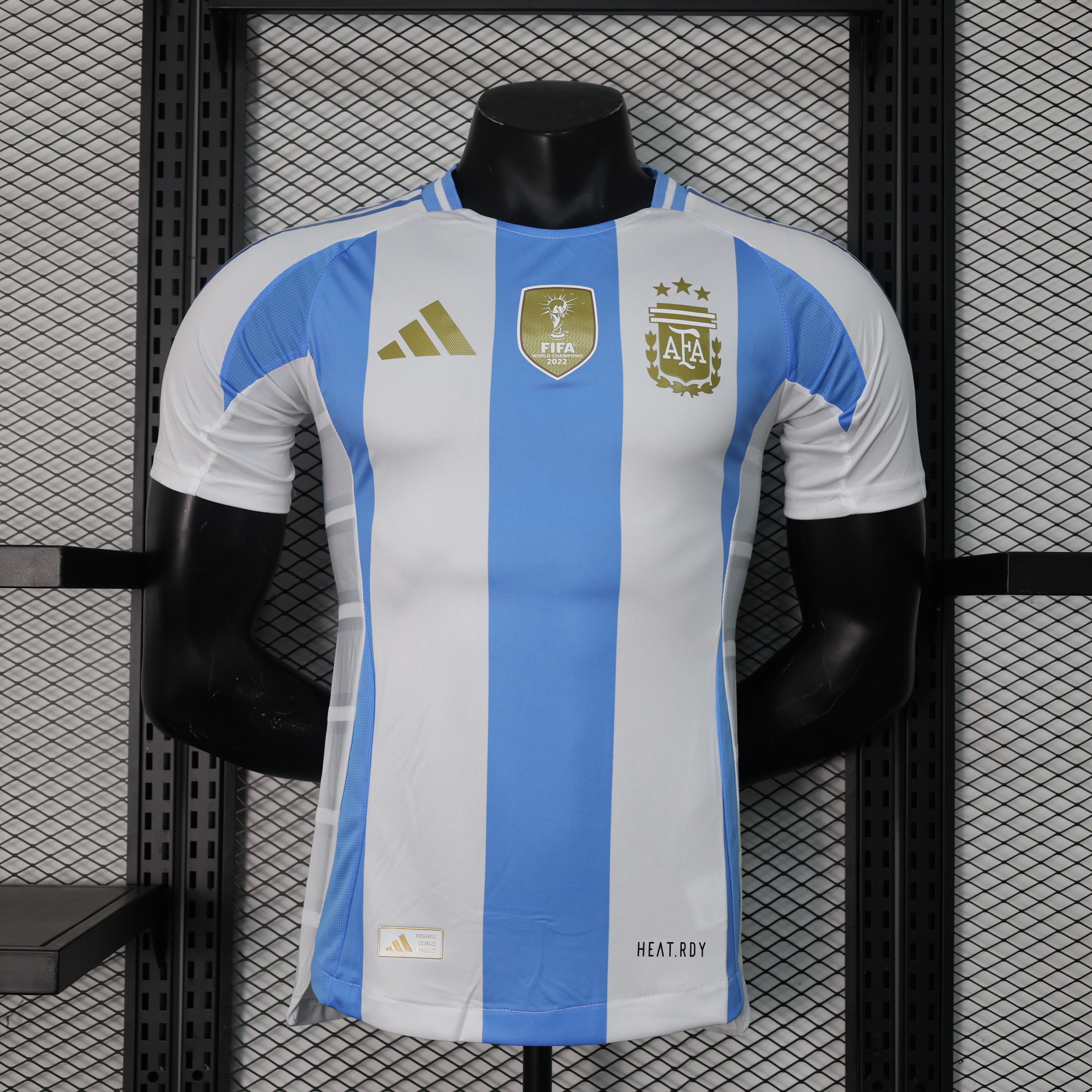 2024 2025 Argentine Domicile Authentique Maillot