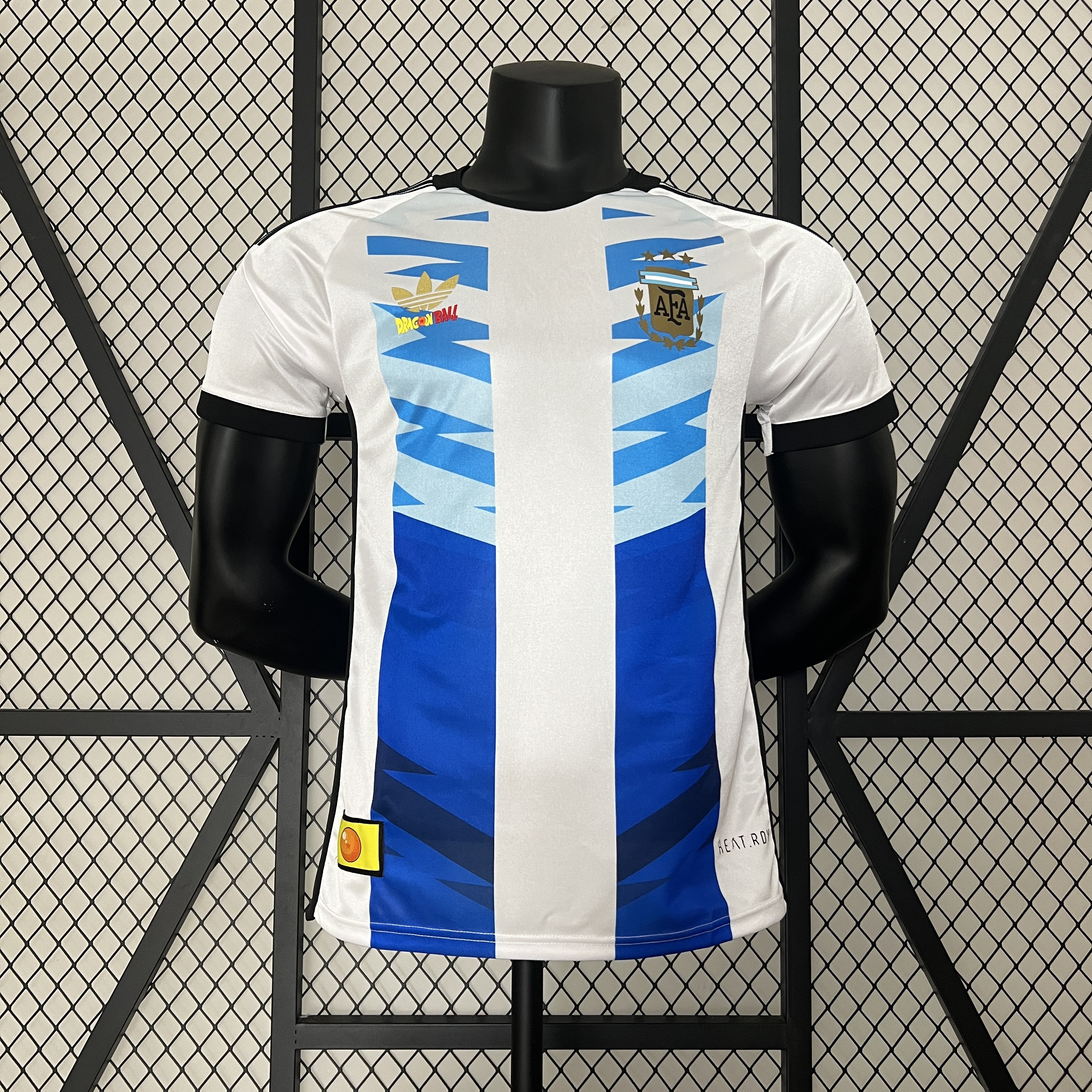 2024/25 Argentina Special Edition Authentic Jersey