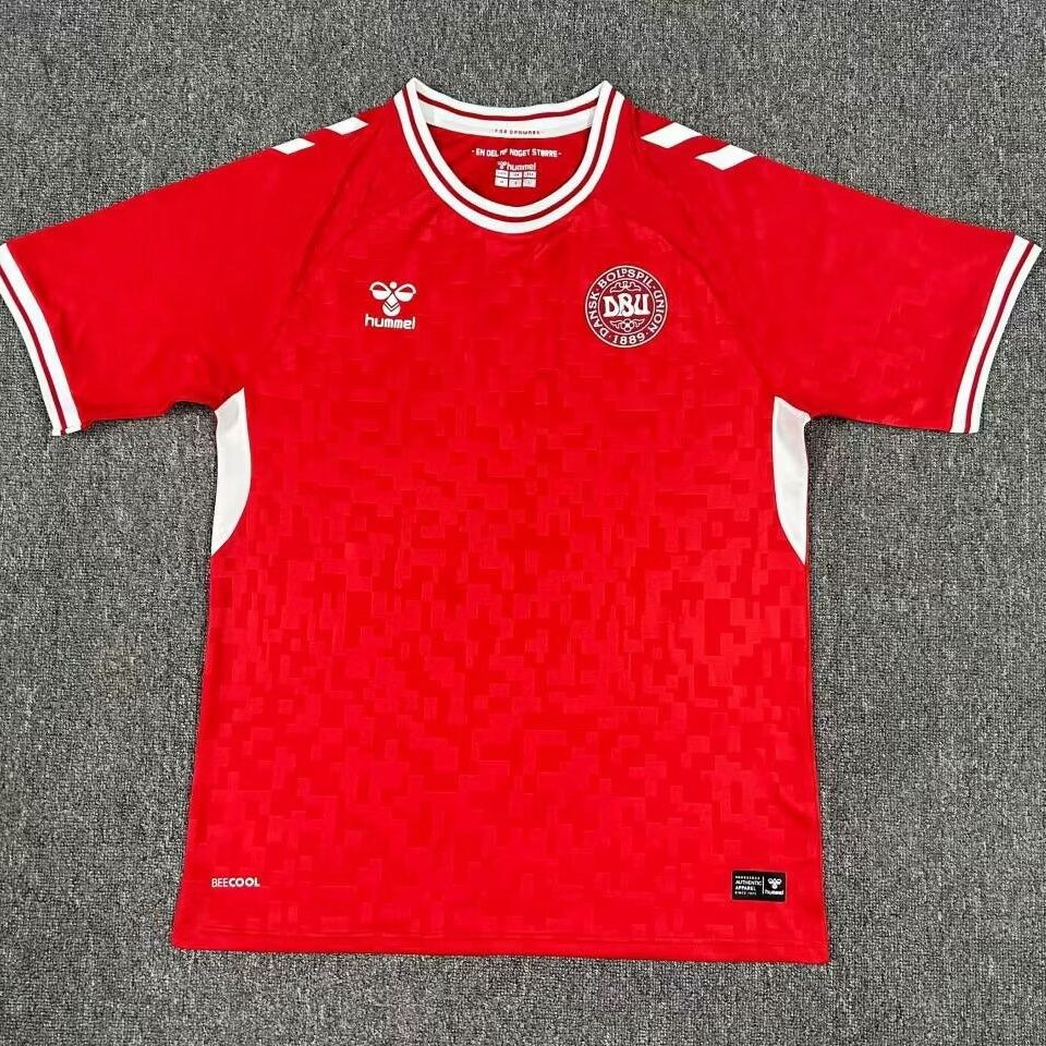 2024/2025 Danemark Domicile Maillot