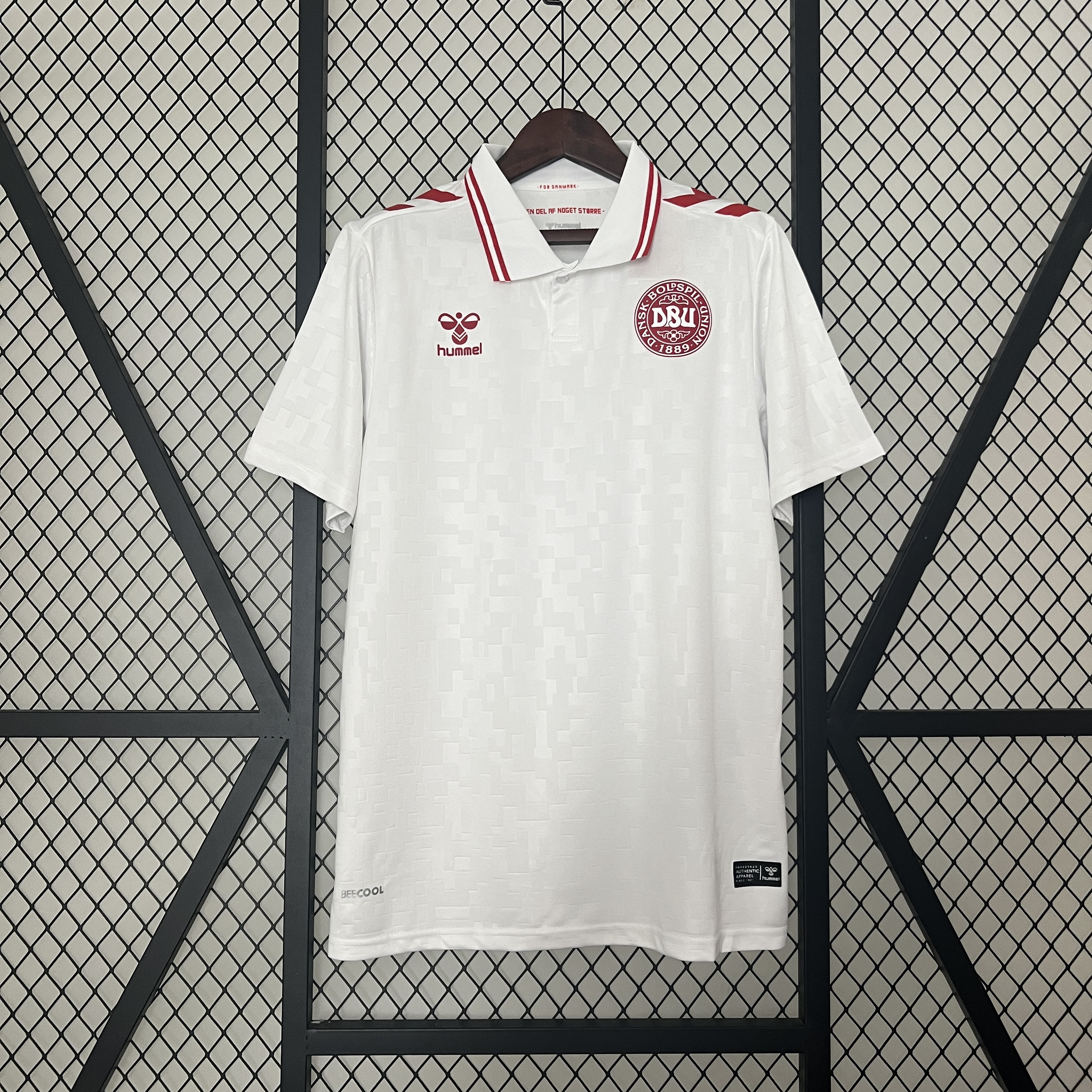 2024/2025 Denmark Away Jersey