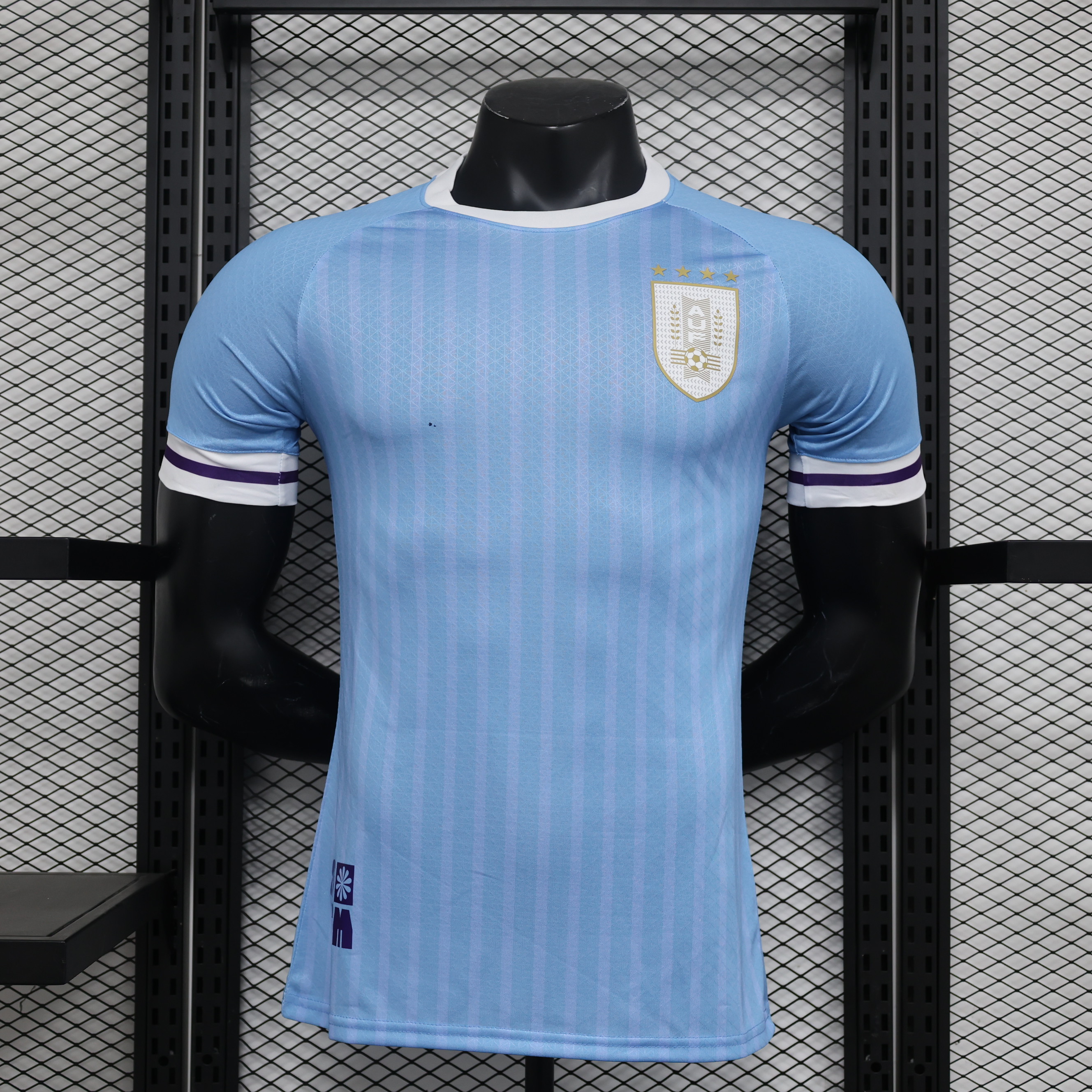 2024 2025 Uruguay Domicile Authentique Maillot