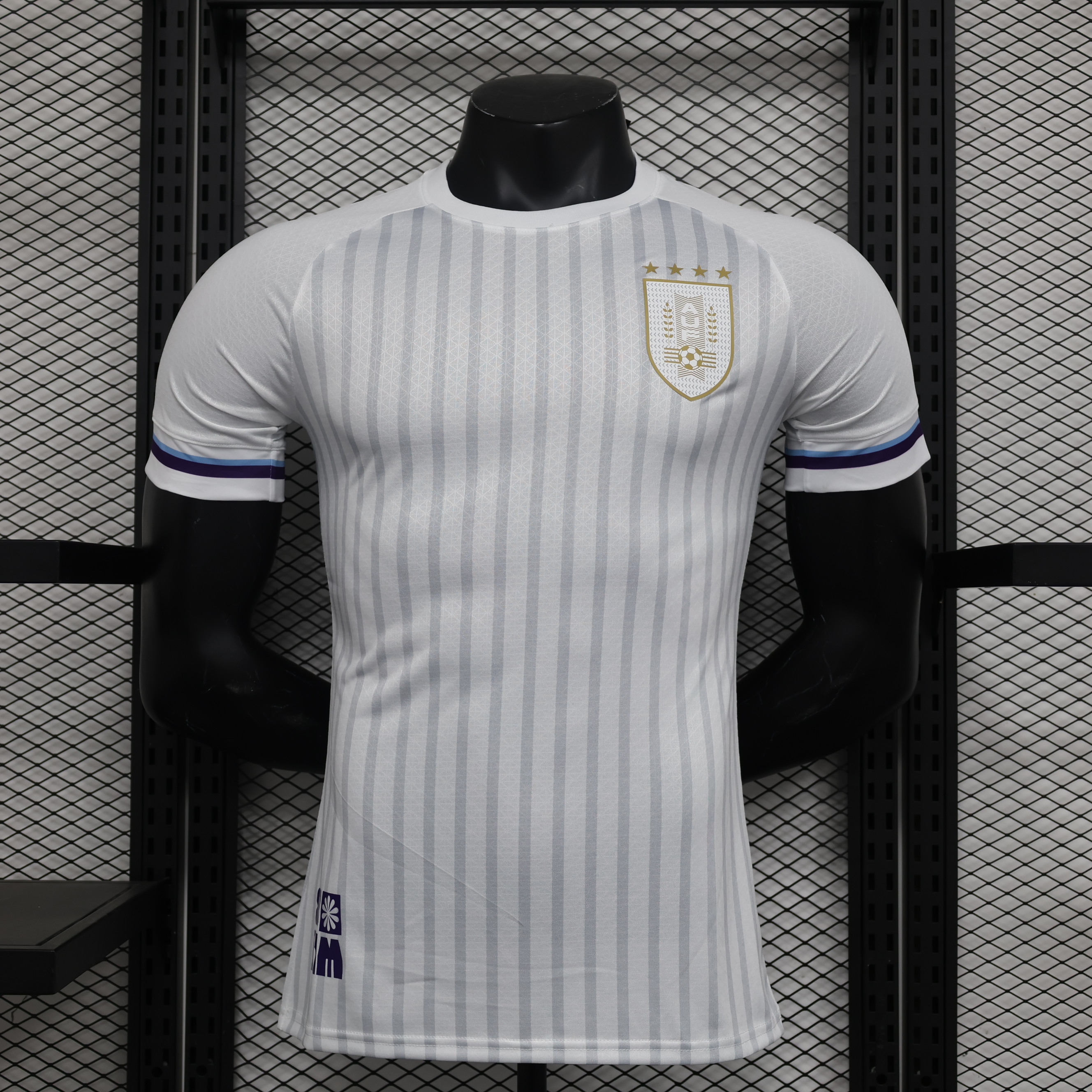 2024-2025 Uruguay Away Authentic Jersey